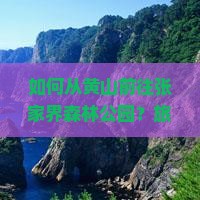 如何从黄山前往张家界森林公园？旅行社推荐及攻略解析
