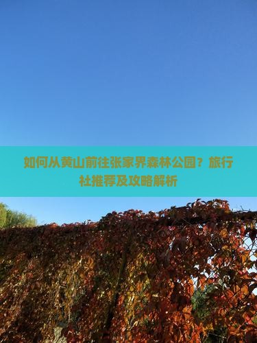 如何从黄山前往张家界森林公园？旅行社推荐及攻略解析