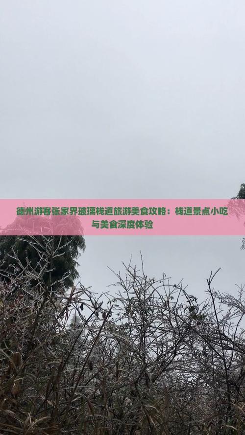 德州游客张家界玻璃栈道旅游美食攻略：栈道景点小吃与美食深度体验