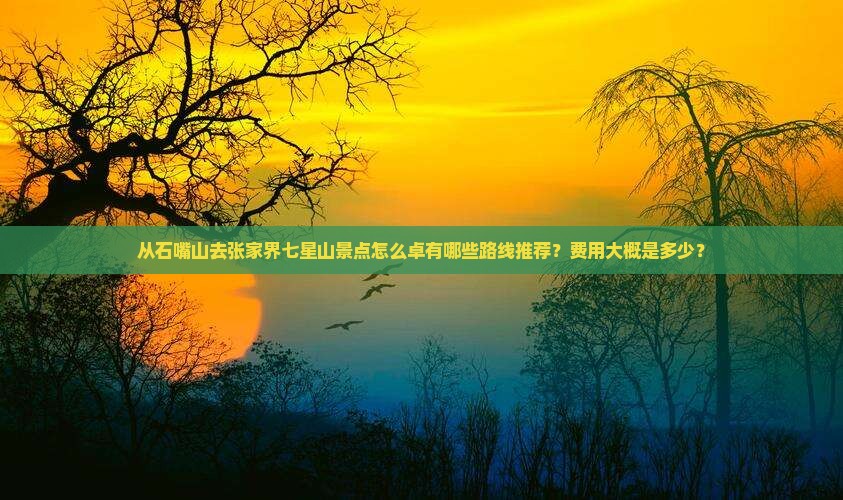 从石嘴山去张家界七星山景点怎么卓有哪些路线推荐？费用大概是多少？
