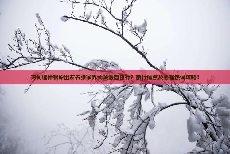 为何选择松原出发去张家界武陵源自由行？旅行痛点及必备热词攻略！