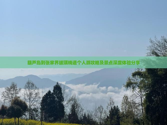 葫芦岛到张家界玻璃栈道个人游攻略及景点深度体验分享