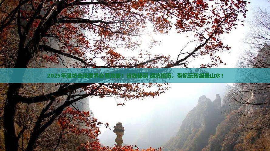 潍坊去张家界攻略