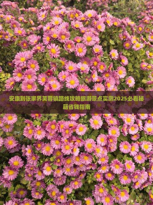 安康到张家界芙蓉镇哪里玩
