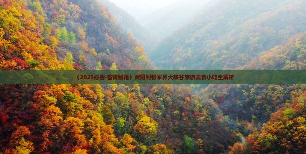 资阳到张家界大峡谷旅游小吃