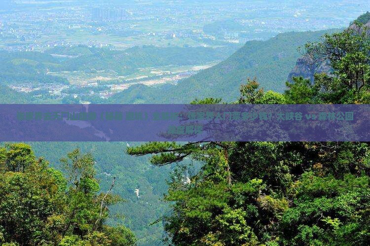 张家界去张家界天门山旅游