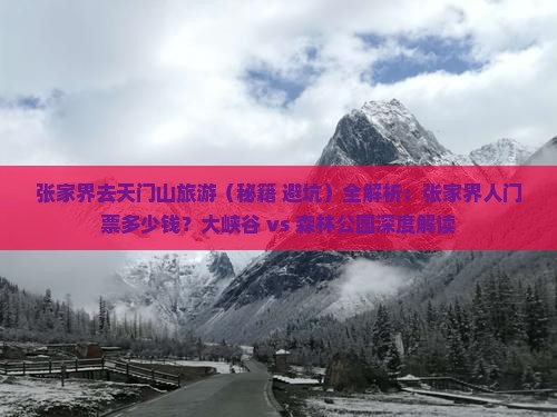 张家界去张家界天门山旅游