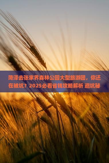 菏泽去张家界森林公园大型旅游团