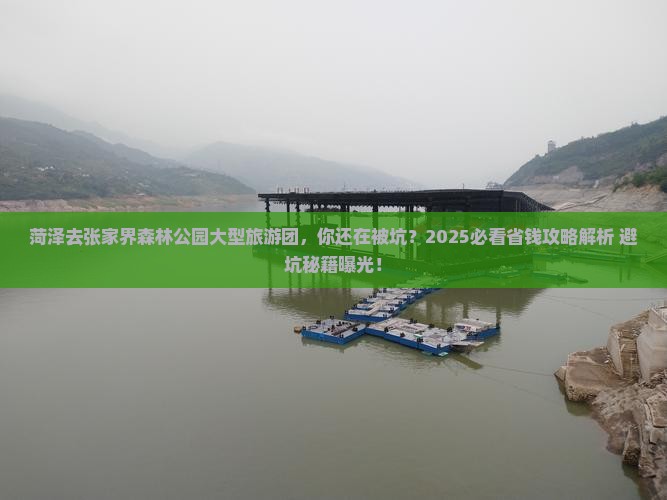 菏泽去张家界森林公园大型旅游团