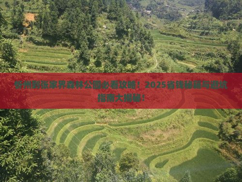 忻州到张家界森林公园必去地