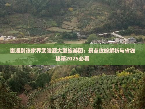 巢湖到张家界武陵源大型旅游团