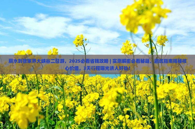 丽水到张家界大峡谷二日游