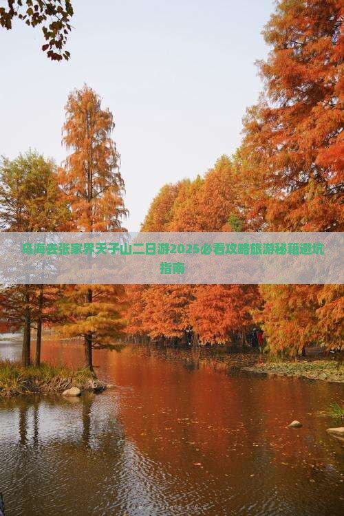 乌海去张家界天子山二日游