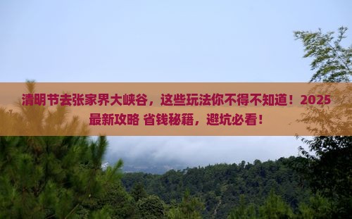 清明节到张家界大峡谷哪里玩