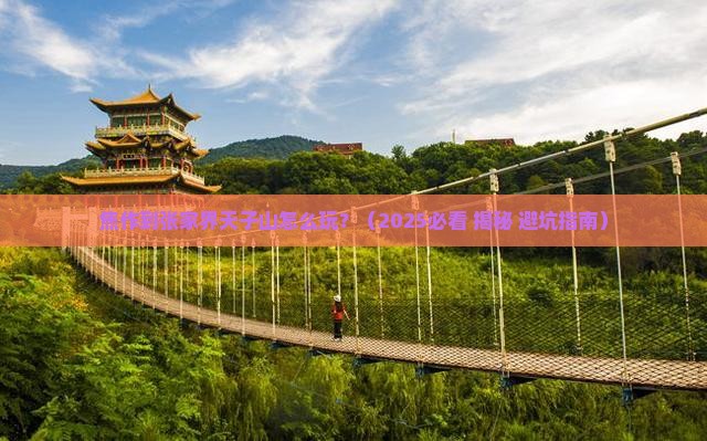 焦作到张家界天子山攻略