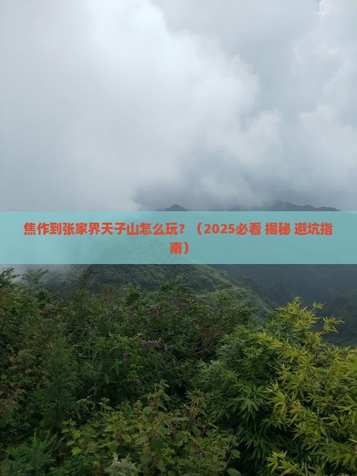 焦作到张家界天子山攻略