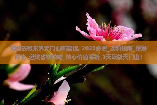 烟台去张家界天门山哪里玩