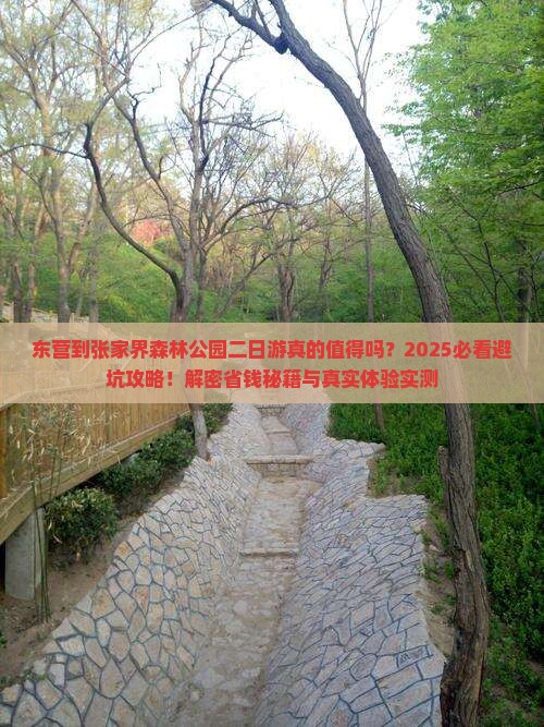 东营到张家界森林公园二日游