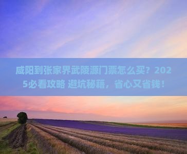 咸阳到张家界武陵源门票