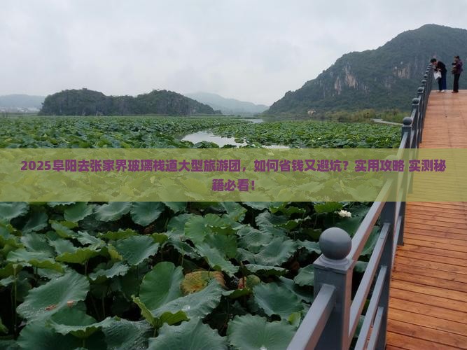 阜阳去张家界玻璃栈道大型旅游团