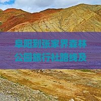 阜阳到张家界森林公园旅行社