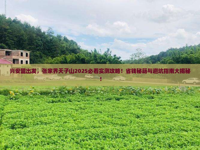 兴安盟到张家界天子山团体旅游