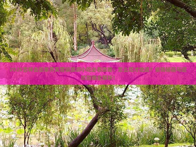 吉林去张家界芙蓉镇旅游小吃