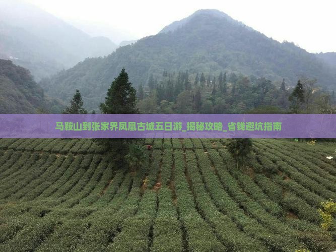 马鞍山到张家界凤凰古城五日游