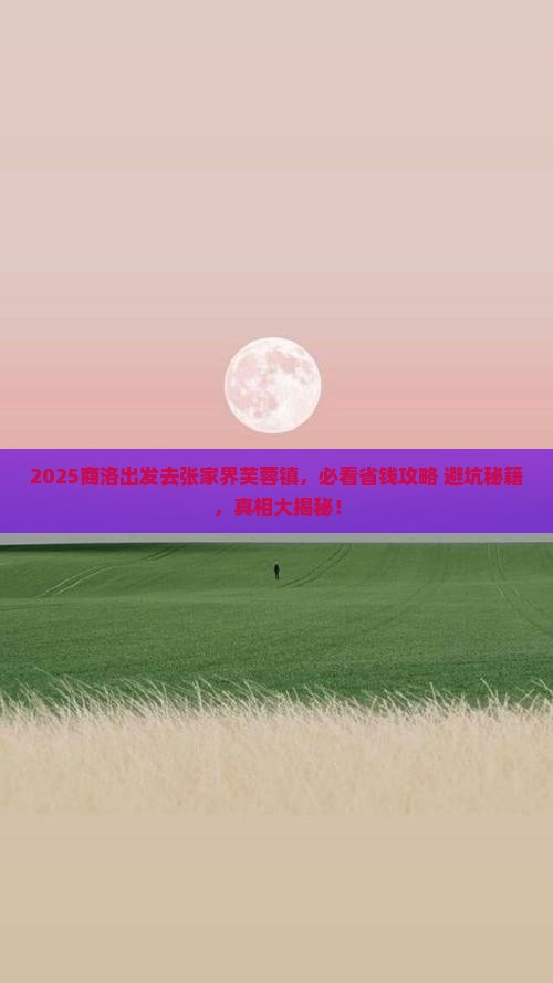 商洛去张家界芙蓉镇景点