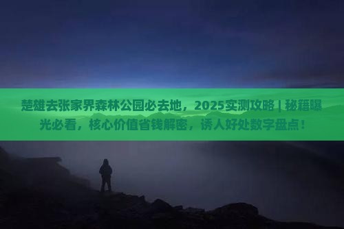 楚雄去张家界森林公园必去地