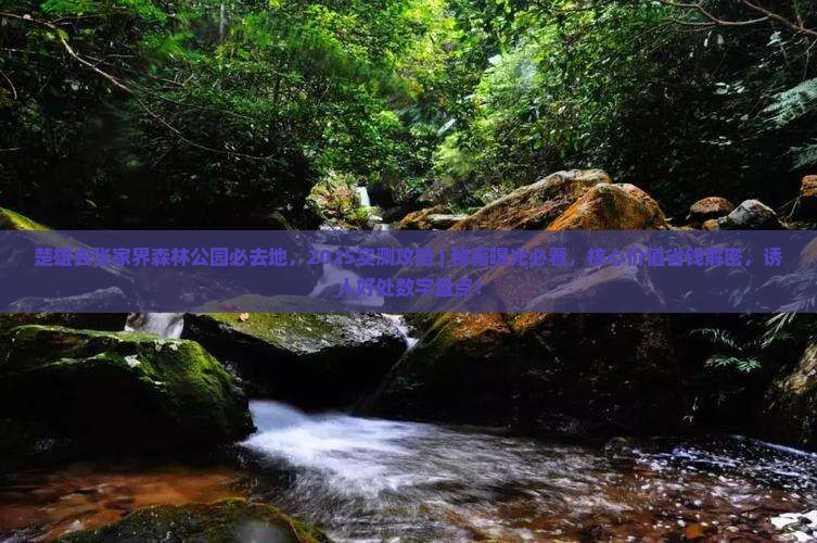 楚雄去张家界森林公园必去地