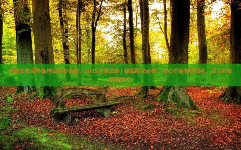 楚雄去张家界森林公园必去地