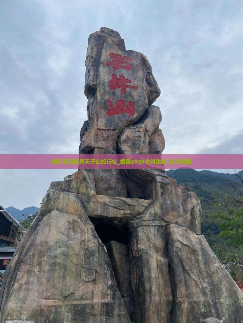 鹤岗到张家界天子山旅行社