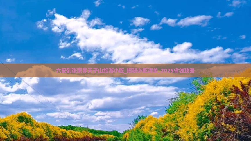 六安到张家界天子山旅游小吃