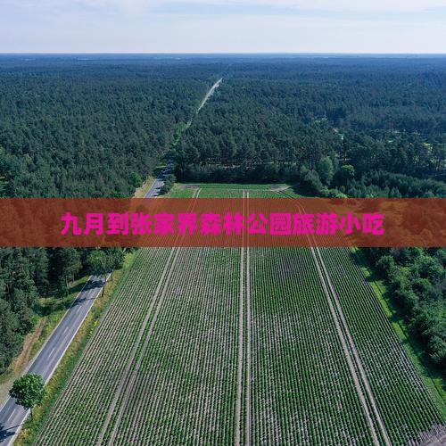 九月到张家界森林公园旅游小吃