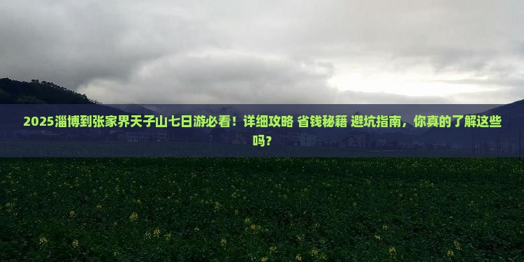 淄博到张家界天子山七日游