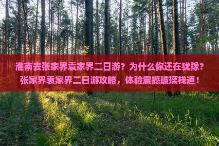 淮南去张家界袁家界二日游