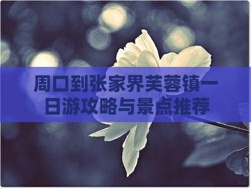 周口到张家界芙蓉镇一日
