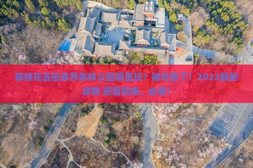攀枝花去张家界森林公园哪里玩