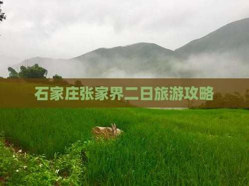 石家庄到张家界二日游