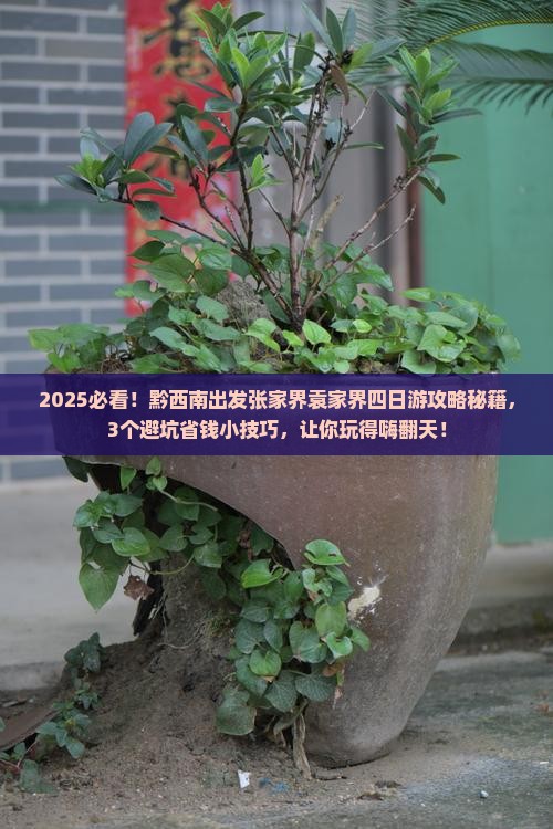 黔西南到张家界袁家界四日游