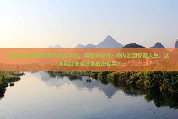 通辽去张家界袁家界旅游小吃