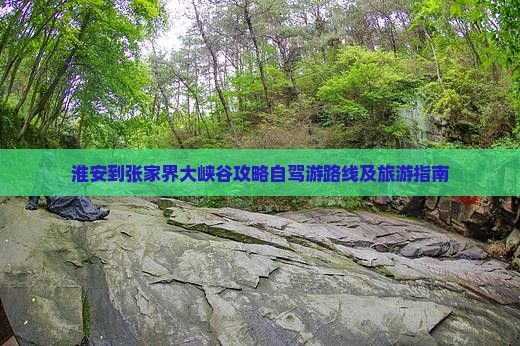 淮安到张家界大峡谷攻略