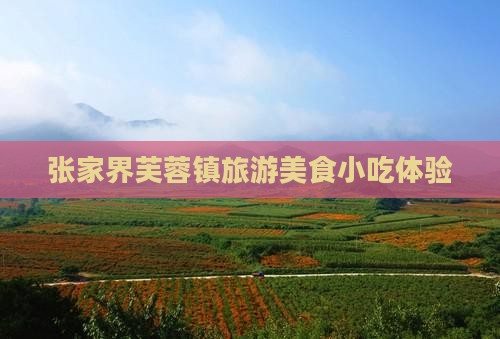 永新去张家界芙蓉镇旅游小吃