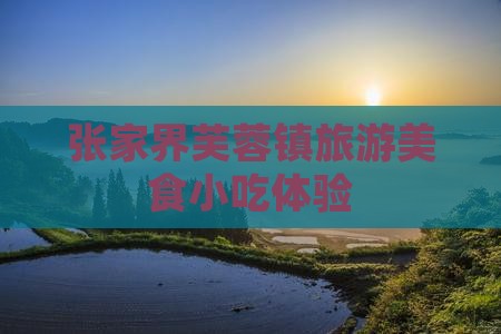 永新去张家界芙蓉镇旅游小吃