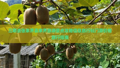 三明去张家界袁家界门票