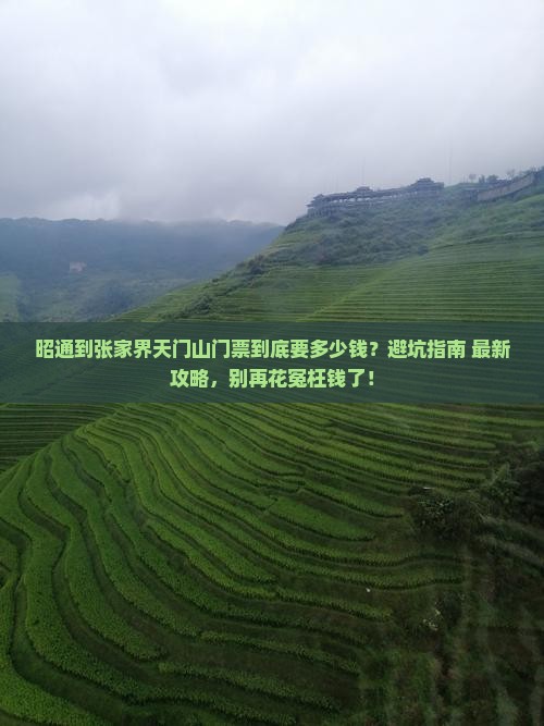 昭通到张家界天门山门票
