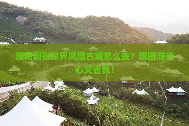 濮阳到张家界凤凰古城旅行社