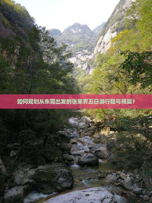 如何规划从东莞出发的张家界五日游行程与预算？