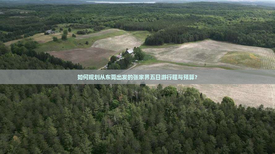如何规划从东莞出发的张家界五日游行程与预算？